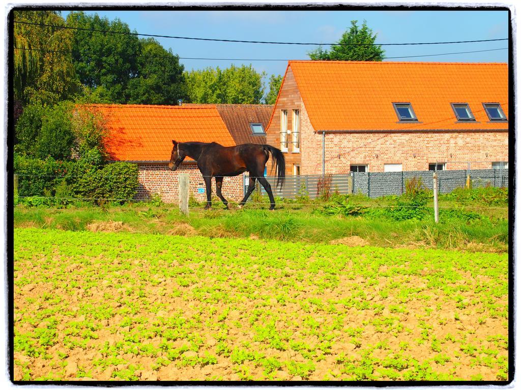 Archipel Holiday Cottage Ellezelles Quarto foto