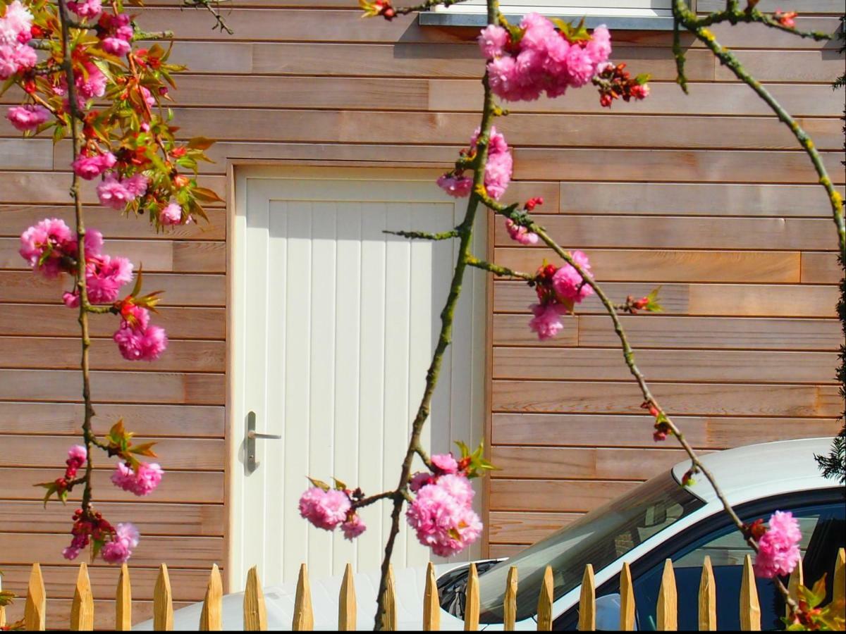 Archipel Holiday Cottage Ellezelles Exterior foto